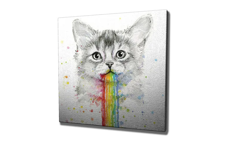 Canvastavla - Katt med regnbågsfärgad spya, Grå / Regnbåge (röd / Orange