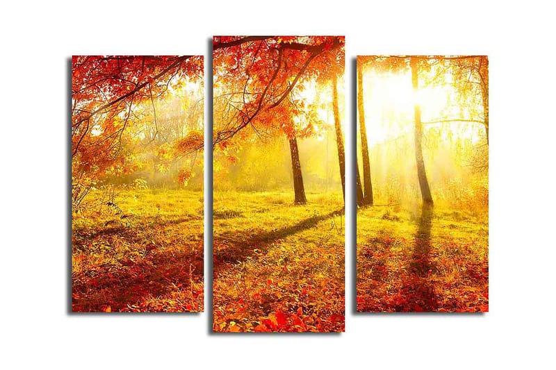 Canvastavla Kitchen 3-pack Flerfärgad - 20x39 cm - Inredning - Tavlor & konst - Canvastavlor