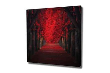 Canvastavla - Lummig allé med intensivt röda träd i höstskrud - Röd / Svart - Inredning - Tavlor & konst - Canvastavlor