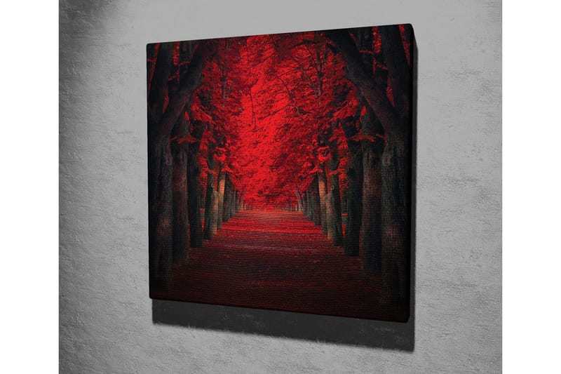 Canvastavla - Lummig allé med intensivt röda träd i höstskrud - Röd / Svart - Inredning - Tavlor & konst - Canvastavlor
