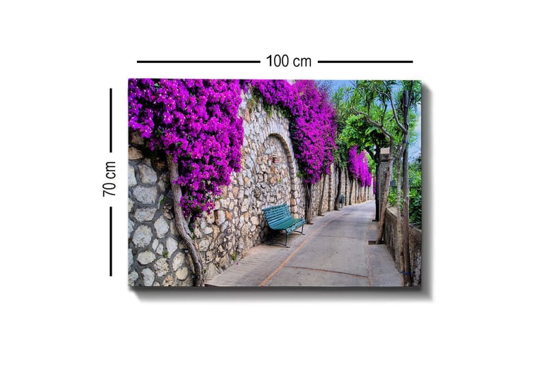 Canvastavla - Lummig gångväg omgiven av blommande bougainvillea - Lila / Grå / Grön - Inredning - Tavlor & konst - Canvastavlor