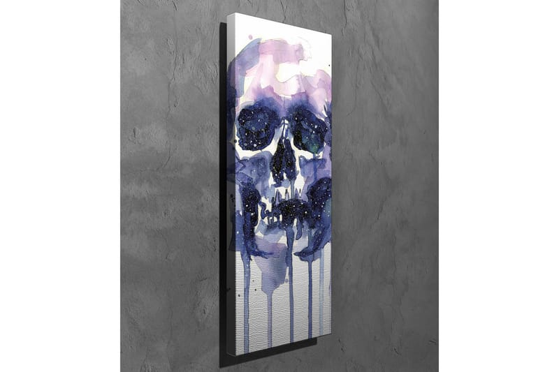 Canvastavla - Mörk och mystisk skalle med stjärnliknande detaljer - Lila / Mörkblå / Vit - Inredning - Tavlor & konst - Canvastavlor