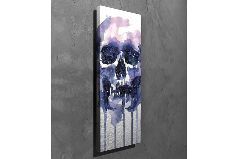 Canvastavla - Mörk och mystisk skalle med stjärnliknande detaljer - Lila / Mörkblå / Vit - Inredning - Tavlor & konst - Canvastavlor