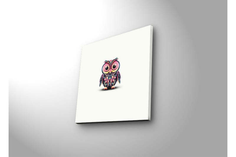 Canvastavla med LED-belysning 28x28 cm - Färgglad uggla med stora ögon - Lila / Grön / Rosa - Inredning - Tavlor & konst - Canvastavlor