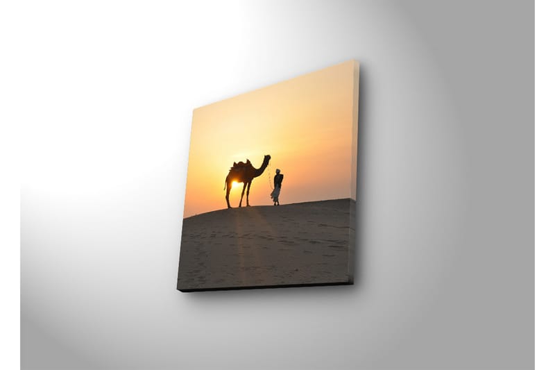 Canvastavla med LED-belysning 28x28 cm - Kamel och människa i solnedgång på sanddyner - Orange / Gul / Svart - Inredning - Tavlor & konst - Canvastavlor
