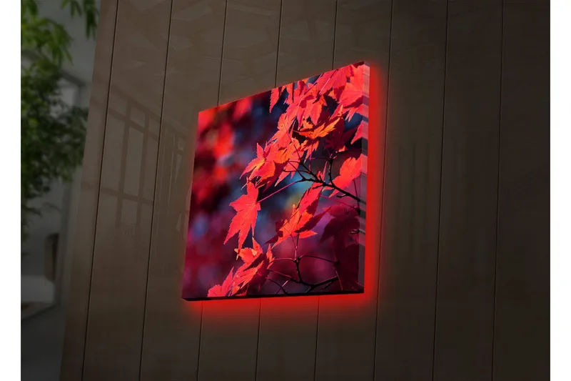 Canvastavla med LED-belysning 28x28 cm - Klar röd lönnlöv i höstfärger - Röd / Orange / Mörkblå - Inredning - Tavlor & konst - Canvastavlor