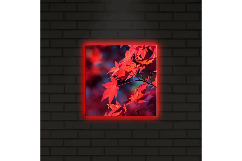 Canvastavla med LED-belysning 28x28 cm - Klar röd lönnlöv i höstfärger - Röd / Orange / Mörkblå - Inredning - Tavlor & konst - Canvastavlor