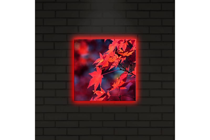 Canvastavla med LED-belysning 28x28 cm - Klar röd lönnlöv i höstfärger - Röd / Orange / Mörkblå - Inredning - Tavlor & konst - Canvastavlor