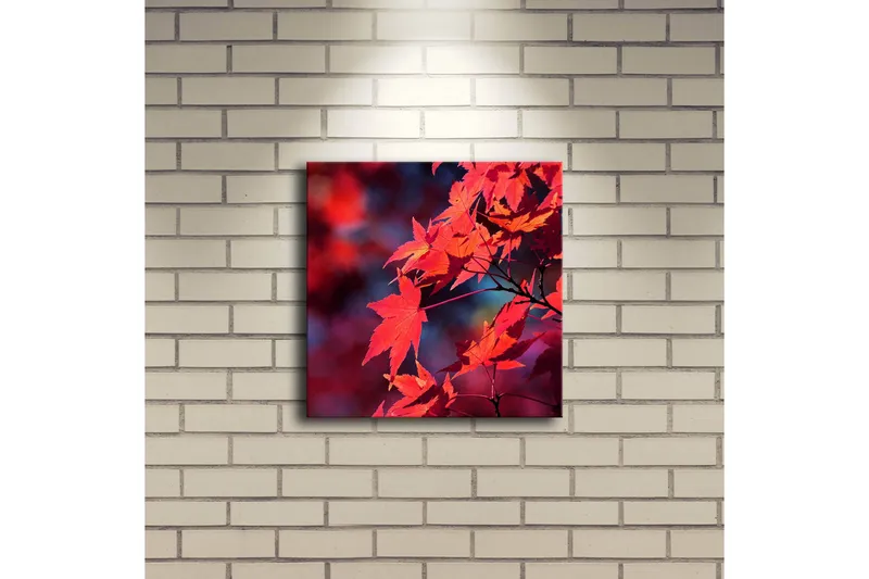 Canvastavla med LED-belysning 28x28 cm - Klar röd lönnlöv i höstfärger - Röd / Orange / Mörkblå - Inredning - Tavlor & konst - Canvastavlor