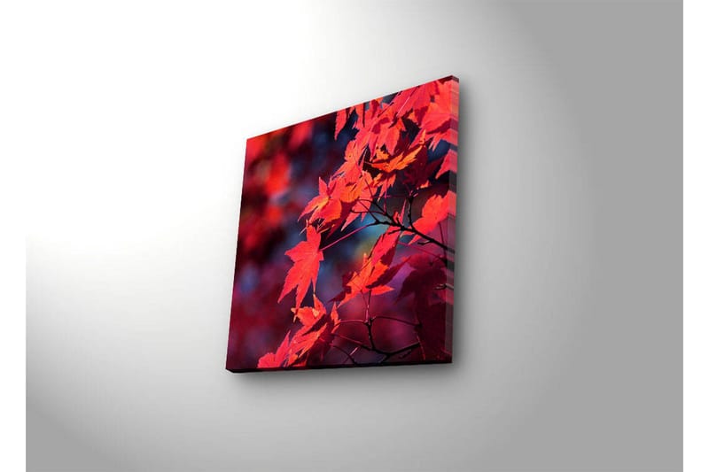 Canvastavla med LED-belysning 28x28 cm - Klar röd lönnlöv i höstfärger - Röd / Orange / Mörkblå - Inredning - Tavlor & konst - Canvastavlor