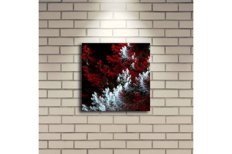 Canvastavla med LED-belysning 28x28 cm - Ljus och mörk skog med röda och vita inslag - Röd / Vit - Inredning - Tavlor & konst - Canvastavlor