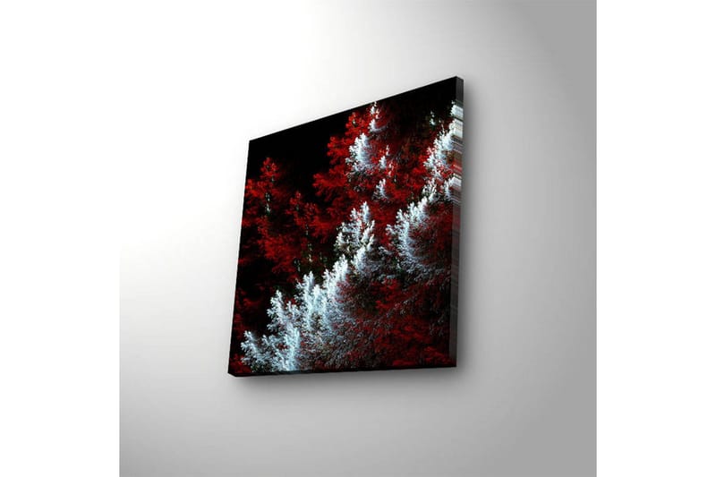 Canvastavla med LED-belysning 28x28 cm - Ljus och mörk skog med röda och vita inslag - Röd / Vit - Inredning - Tavlor & konst - Canvastavlor