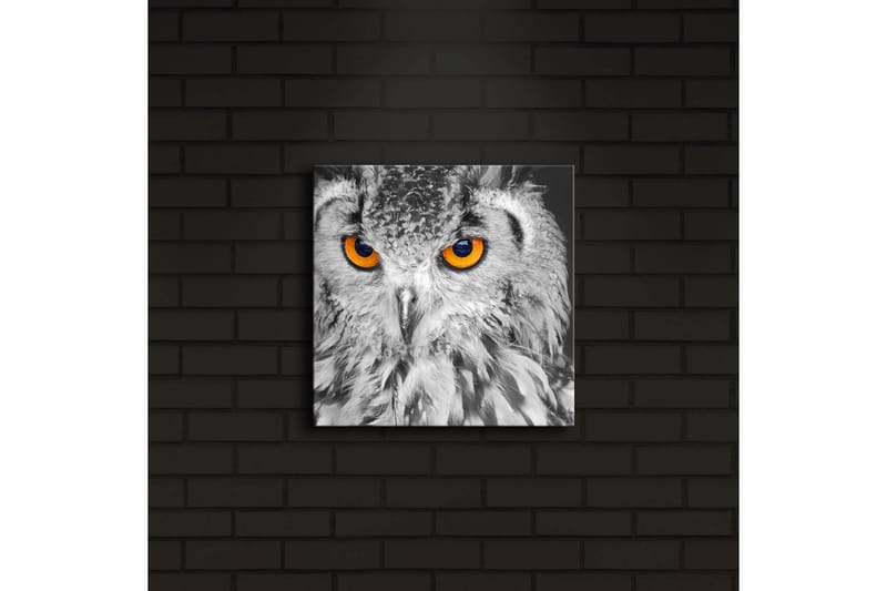 Canvastavla med LED-belysning 28x28 cm - Uggla med intensiva orange ögon - Svart / Orange - Inredning - Tavlor & konst - Canvastavlor