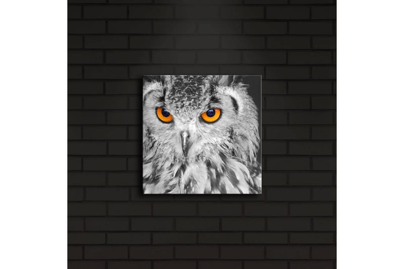 Canvastavla med LED-belysning 28x28 cm - Uggla med intensiva orange ögon - Svart / Orange - Inredning - Tavlor & konst - Canvastavlor
