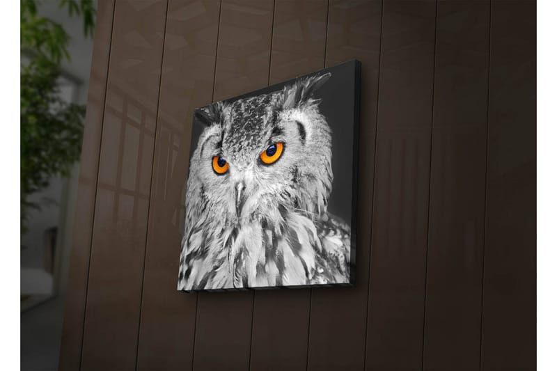 Canvastavla med LED-belysning 28x28 cm - Uggla med intensiva orange ögon - Svart / Orange - Inredning - Tavlor & konst - Canvastavlor