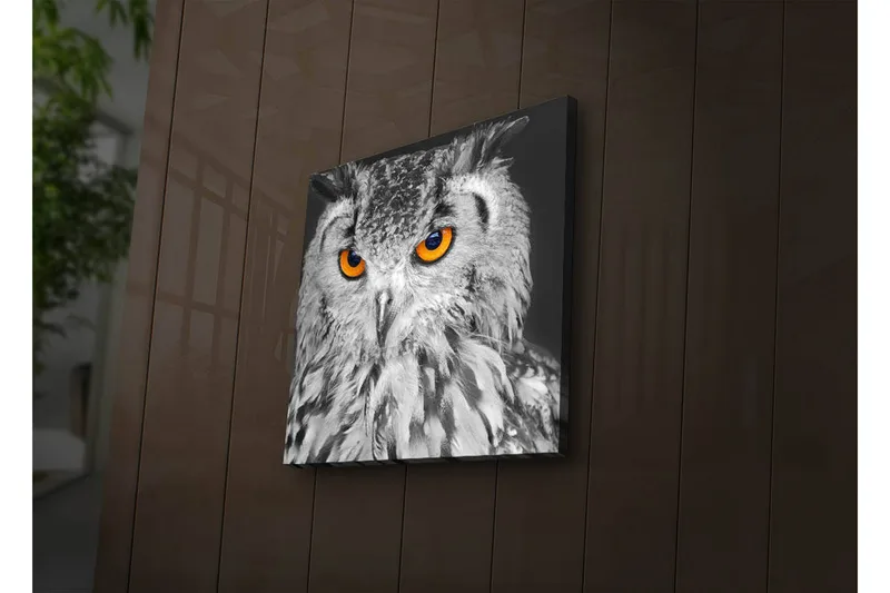 Canvastavla med LED-belysning 28x28 cm - Uggla med intensiva orange ögon - Svart / Orange - Inredning - Tavlor & konst - Canvastavlor