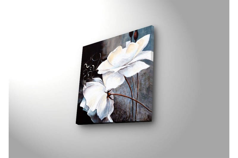 Canvastavla med LED-belysning 28x28 cm - Vita blommor med eleganta detaljer - Vit / Grå / Brun - Inredning - Tavlor & konst - Canvastavlor