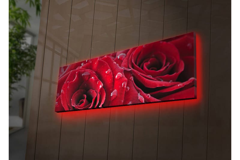 Canvastavla med LED-belysning 30x90 cm - Djupa röda rosor med vattendroppar, Röd / Grön