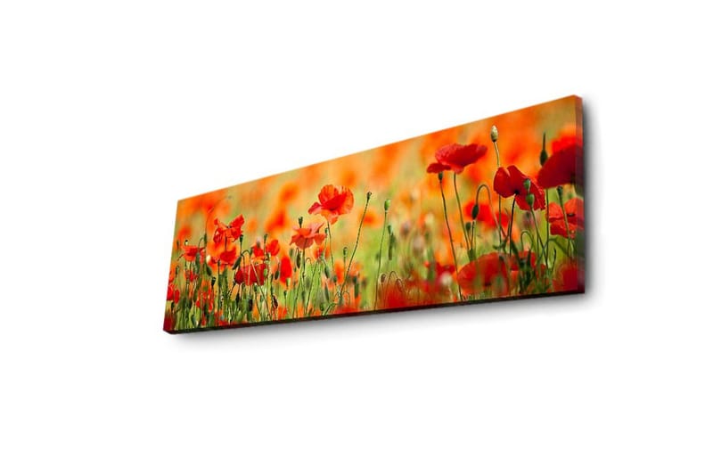 Canvastavla med LED-belysning 30x90 cm - Fält av röda vallmo-blommor i en grönskande omgivning - Röd / Grön / Orange - Inredning - Tavlor & konst - Canvastavlor
