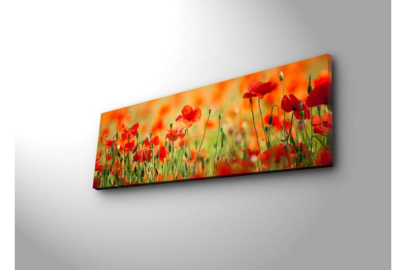 Canvastavla med LED-belysning 30x90 cm - Fält av röda vallmo-blommor i en grönskande omgivning - Röd / Grön / Orange - Inredning - Tavlor & konst - Canvastavlor