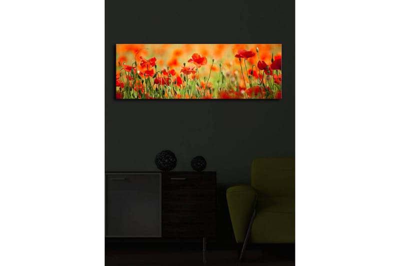 Canvastavla med LED-belysning 30x90 cm - Fält av röda vallmo-blommor i en grönskande omgivning - Röd / Grön / Orange - Inredning - Tavlor & konst - Canvastavlor