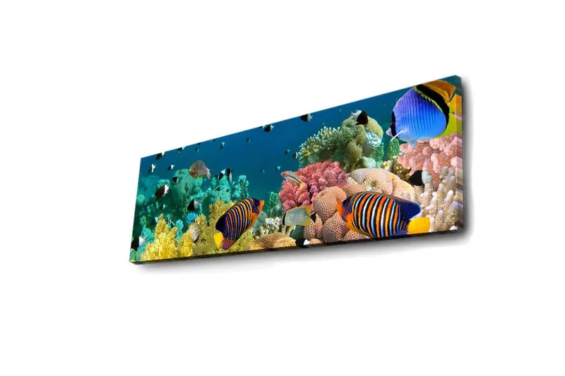 Canvastavla med LED-belysning 30x90 cm - Färgglad undervattensscen med tropiska fiskar och koraller - Blå / Gul / Rosa - Inredning - Tavlor & konst - Canvastavlor