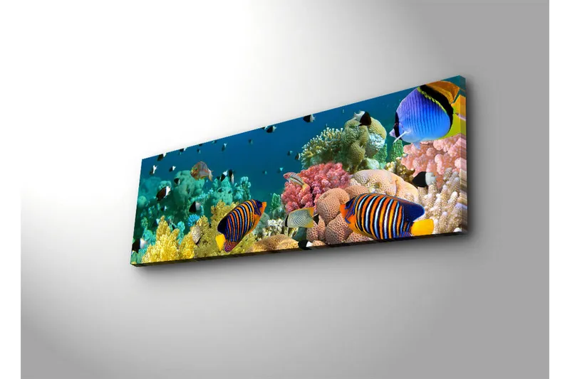 Canvastavla med LED-belysning 30x90 cm - Färgglad undervattensscen med tropiska fiskar och koraller - Blå / Gul / Rosa - Inredning - Tavlor & konst - Canvastavlor