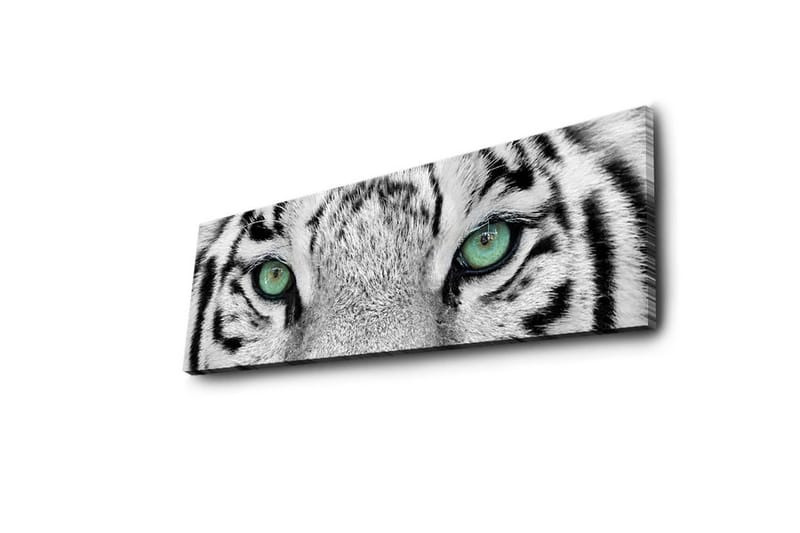Canvastavla med LED-belysning 30x90 cm - Närbild av en vit tigers ögon med intensiva detaljer - Vit / Svart / Grön - Inredning - Tavlor & konst - Canvastavlor