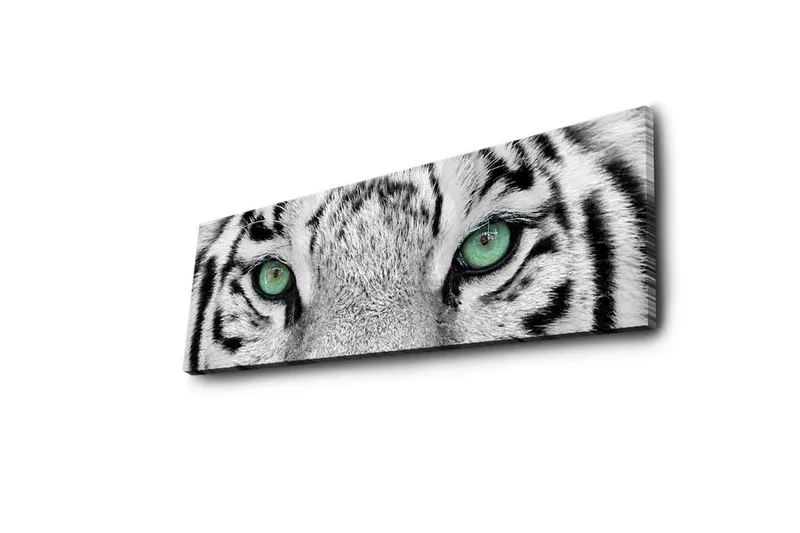 Canvastavla med LED-belysning 30x90 cm - Närbild av en vit tigers ögon med intensiva detaljer - Vit / Svart / Grön - Inredning - Tavlor & konst - Canvastavlor