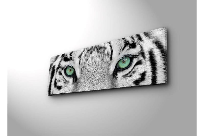 Canvastavla med LED-belysning 30x90 cm - Närbild av en vit tigers ögon med intensiva detaljer - Vit / Svart / Grön - Inredning - Tavlor & konst - Canvastavlor