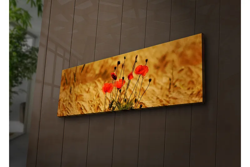 Canvastavla med LED-belysning 30x90 cm - Röd vallmo i gyllene fält - Röd / Guldbrun - Inredning - Tavlor & konst - Canvastavlor