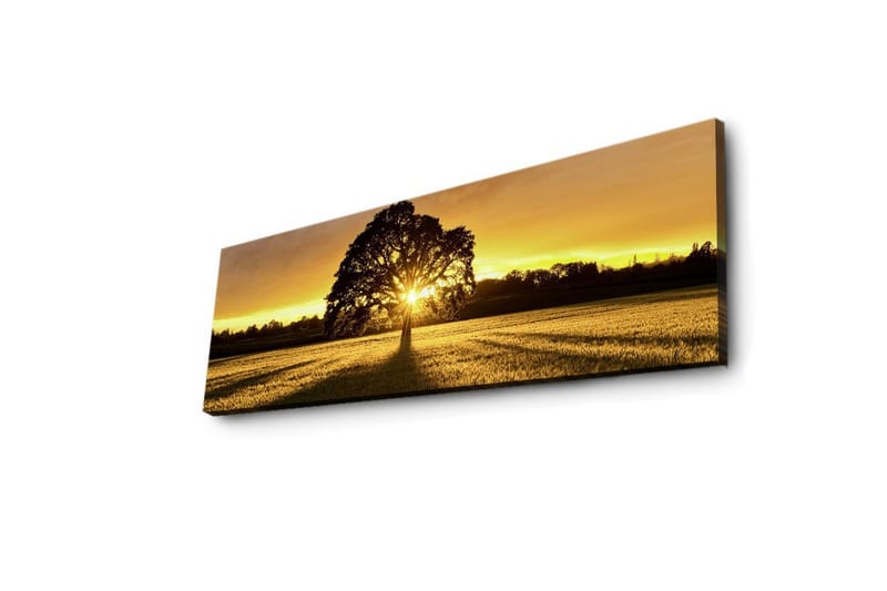 Canvastavla med LED-belysning 30x90 cm - Silhuett av ett träd mot en gyllene solnedgång - Guld / Svart / Grön - Inredning - Tavlor & konst - Canvastavlor