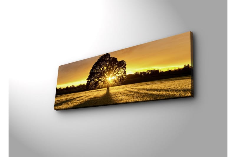 Canvastavla med LED-belysning 30x90 cm - Silhuett av ett träd mot en gyllene solnedgång - Guld / Svart / Grön - Inredning - Tavlor & konst - Canvastavlor