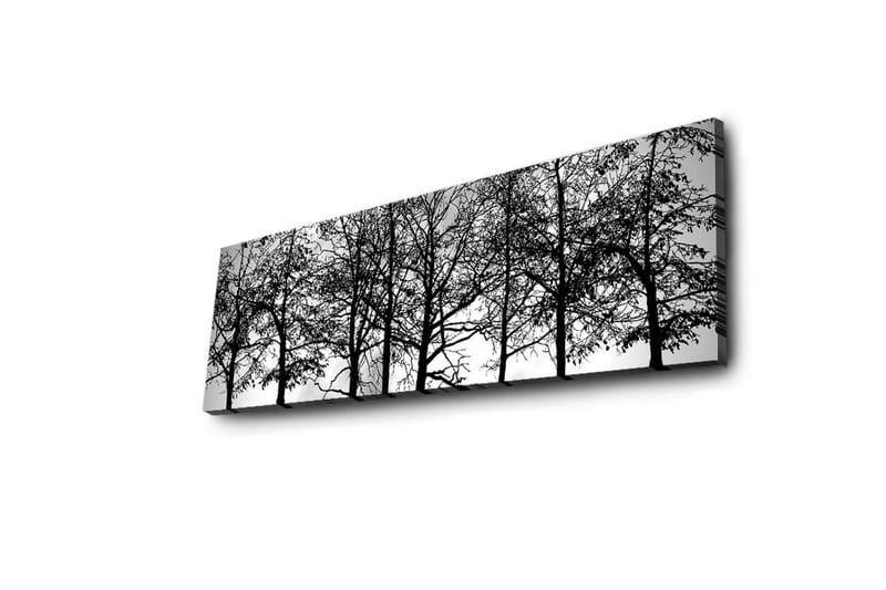 Canvastavla med LED-belysning 30x90 cm - Silhuett av träd i svartvitt - Svart / Vitt - Inredning - Tavlor & konst - Canvastavlor