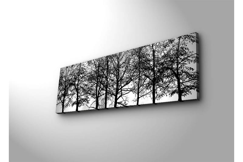 Canvastavla med LED-belysning 30x90 cm - Silhuett av träd i svartvitt - Svart / Vitt - Inredning - Tavlor & konst - Canvastavlor