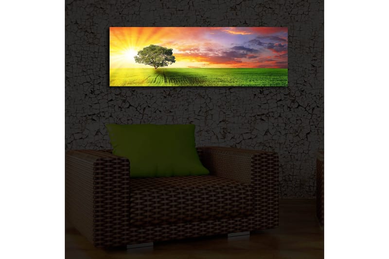 Canvastavla med LED-belysning 30x90 cm - Soluppgång över en grön äng med ett ensamt träd - Grön / Orange / Blå - Inredning - Tavlor & konst - Canvastavlor