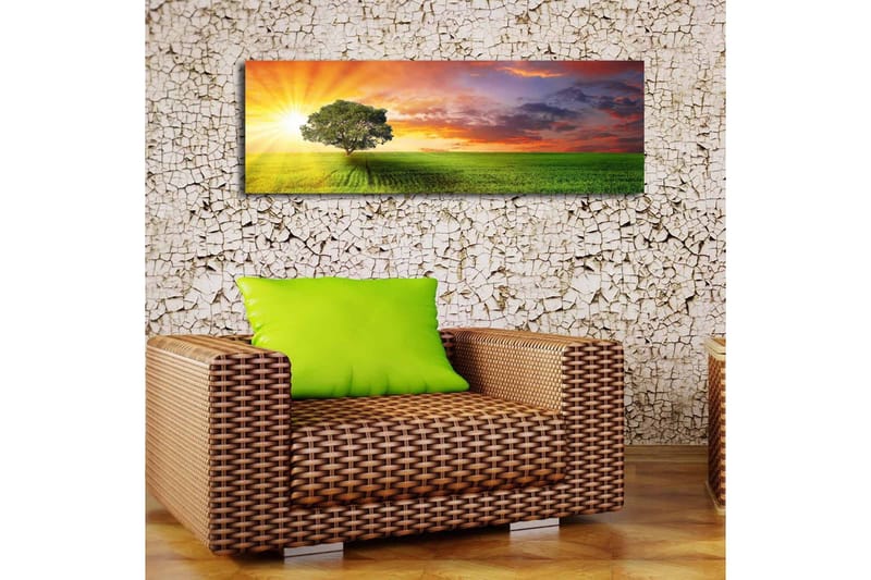 Canvastavla med LED-belysning 30x90 cm - Soluppgång över en grön äng med ett ensamt träd - Grön / Orange / Blå - Inredning - Tavlor & konst - Canvastavlor