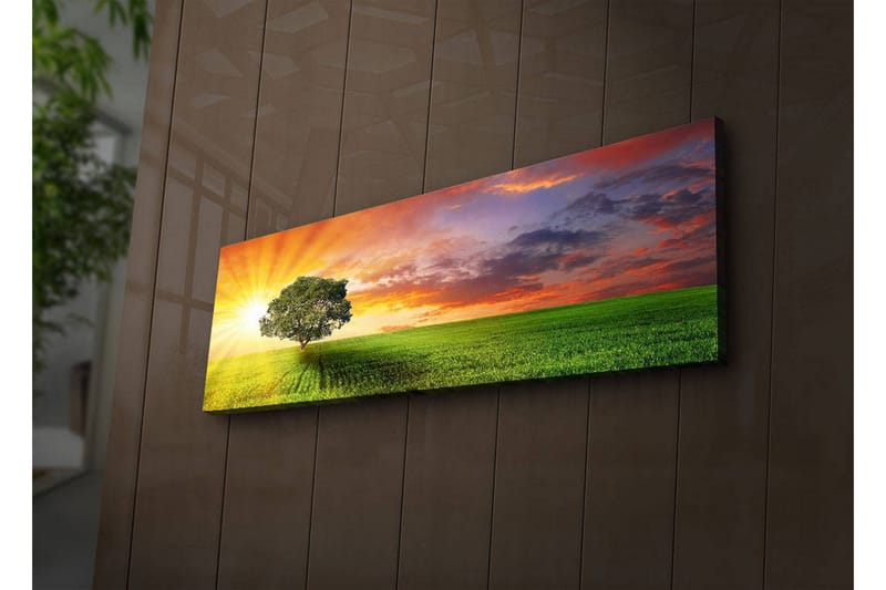 Canvastavla med LED-belysning 30x90 cm - Soluppgång över en grön äng med ett ensamt träd, Grön / Orange / Blå