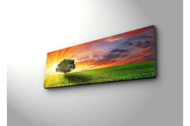 Canvastavla med LED-belysning 30x90 cm - Soluppgång över en grön äng med ett ensamt träd - Grön / Orange / Blå - Inredning - Tavlor & konst - Canvastavlor