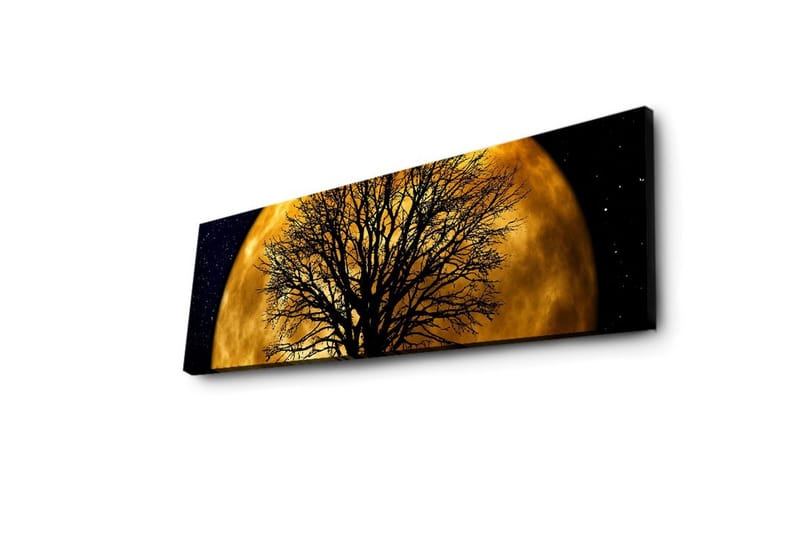 Canvastavla med LED-belysning 30x90 cm - Stämningsfullt motiv av en måne bakom ett silhuett av ett träd - Guld / Svart - Inredning - Tavlor & konst - Canvastavlor