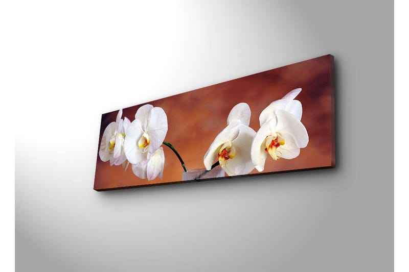 Canvastavla med LED-belysning 30x90 cm - Vackra vita orkidéer i en harmonisk komposition - Vit / Beige / Gul - Inredning - Tavlor & konst - Canvastavlor