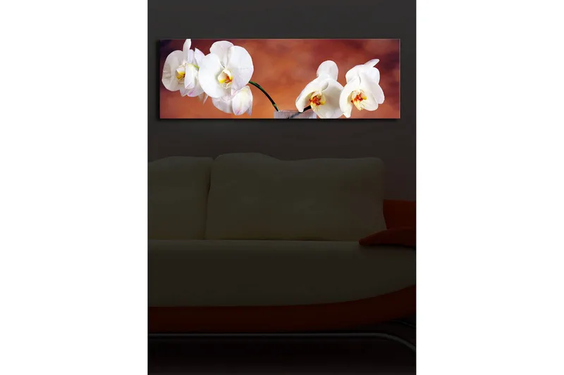 Canvastavla med LED-belysning 30x90 cm - Vackra vita orkidéer i en harmonisk komposition - Vit / Beige / Gul - Inredning - Tavlor & konst - Canvastavlor