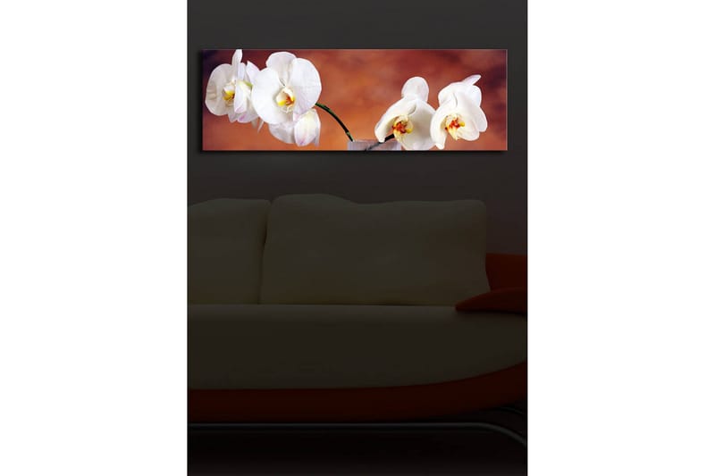 Canvastavla med LED-belysning 30x90 cm - Vackra vita orkidéer i en harmonisk komposition - Vit / Beige / Gul - Inredning - Tavlor & konst - Canvastavlor