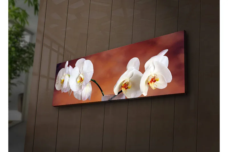 Canvastavla med LED-belysning 30x90 cm - Vackra vita orkidéer i en harmonisk komposition - Vit / Beige / Gul - Inredning - Tavlor & konst - Canvastavlor