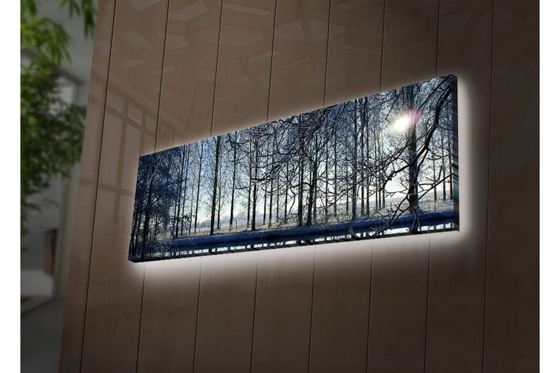 Canvastavla med LED-belysning 30x90 cm - Vinterlandskap med snöklädda träd och en svag solstråle, Blå / Vit / Grå
