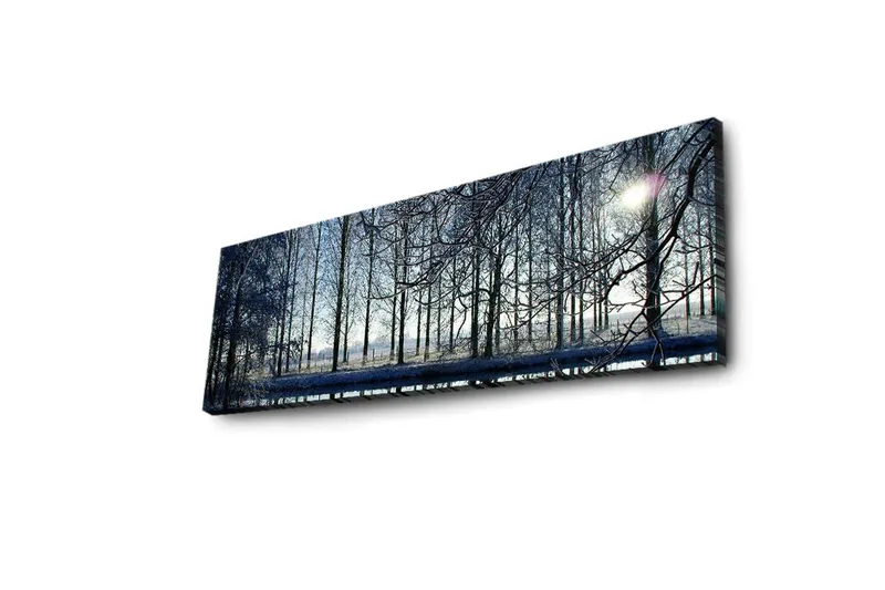 Canvastavla med LED-belysning 30x90 cm - Vinterlandskap med snöklädda träd och en svag solstråle - Blå / Vit / Grå - Inredning - Tavlor & konst - Canvastavlor