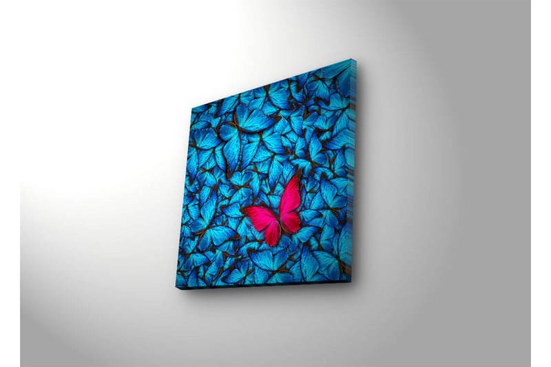 Canvastavla med LED-belysning 40x40 cm - Blåa upplysta fjärliar i bakgrunden med en rosa fjäril - Blå / Rosa / Svart - Inredning - Tavlor & konst - Canvastavlor