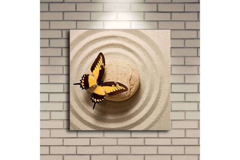 Canvastavla med LED-belysning 40x40 cm - Färgglad fjäril på en sandig yta med cirkulära mönster - Gult / Brunt / Beige - Inredning - Tavlor & konst - Canvastavlor