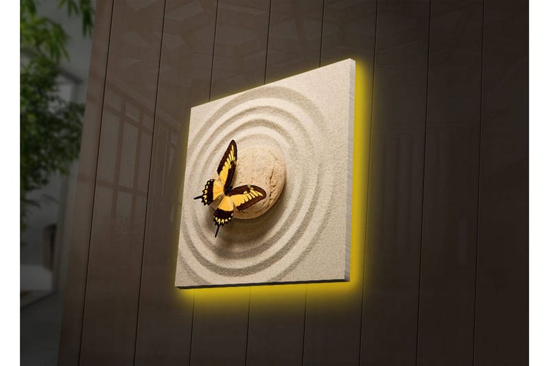 Canvastavla med LED-belysning 40x40 cm - Färgglad fjäril på en sandig yta med cirkulära mönster - Gult / Brunt / Beige - Inredning - Tavlor & konst - Canvastavlor