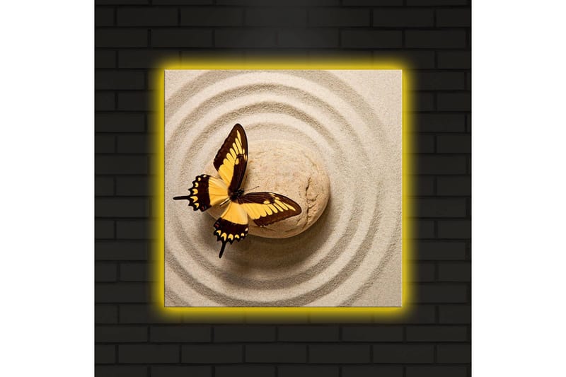 Canvastavla med LED-belysning 40x40 cm - Färgglad fjäril på en sandig yta med cirkulära mönster - Gult / Brunt / Beige - Inredning - Tavlor & konst - Canvastavlor